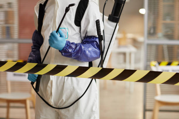 Professional Sewage Cleanup technician working in Cedar Bluffs, NE